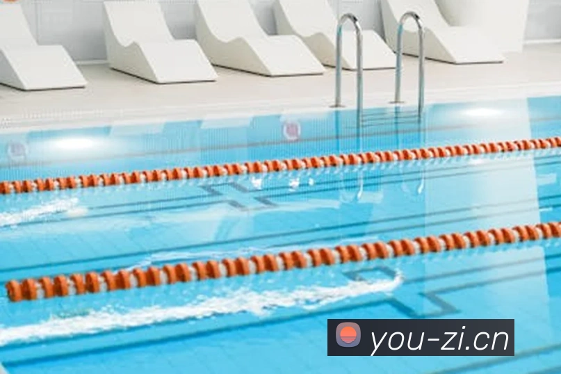 App Interface Preview